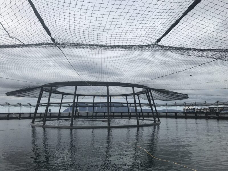 Nets Tasmania High Tenacity Bird Net over a fish cage