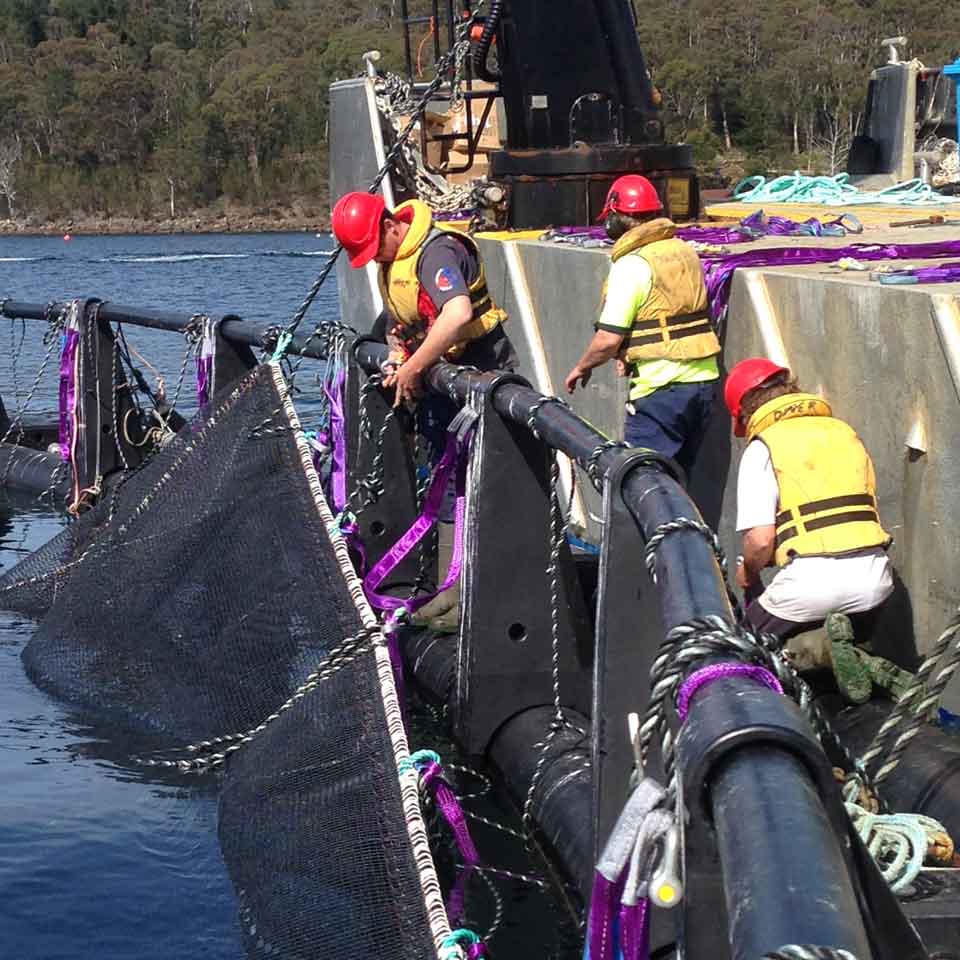 Nets Tasmania crew fitting a net to a fish pen on the water